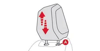 Citroen C4. Front head restraints
